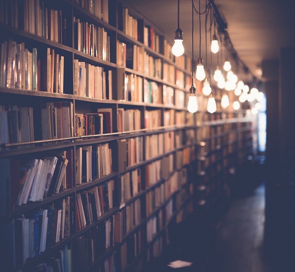 A bookshelf filled with many old style looking books. There are lightbulbs hanging in front of it