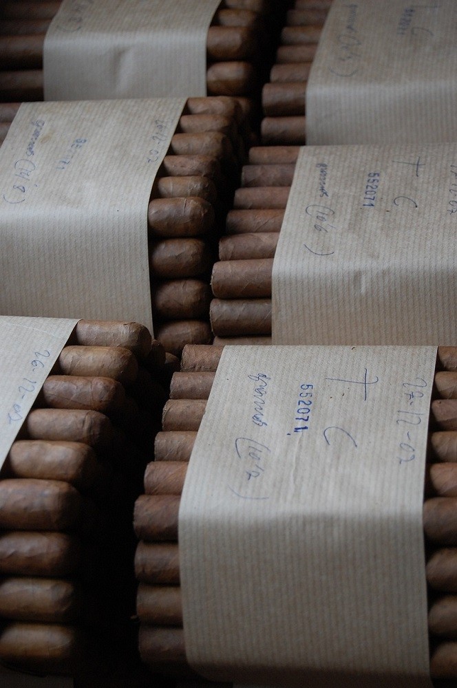 A bundle of medium brown cigars covered with paper