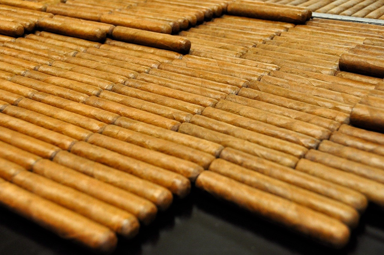 A large amount of bandless cigars are laid out in a table