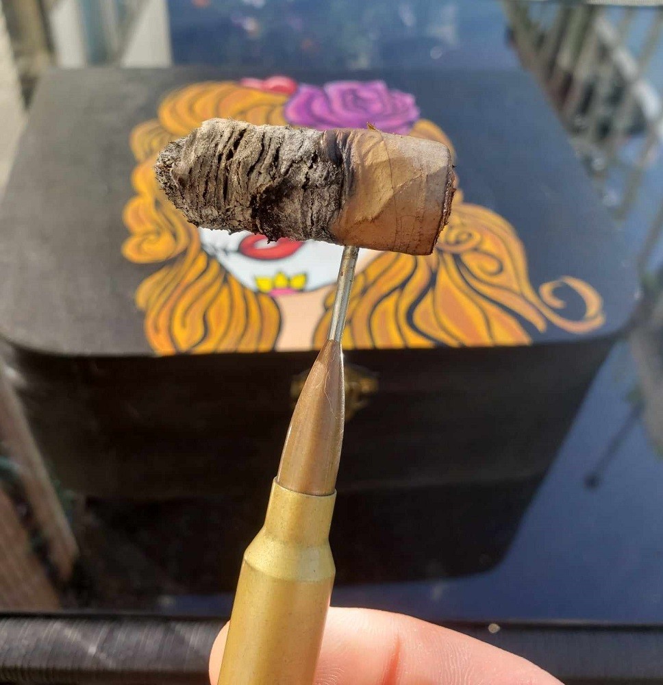 The light brown Cha Cha Sugar cigar is about 1