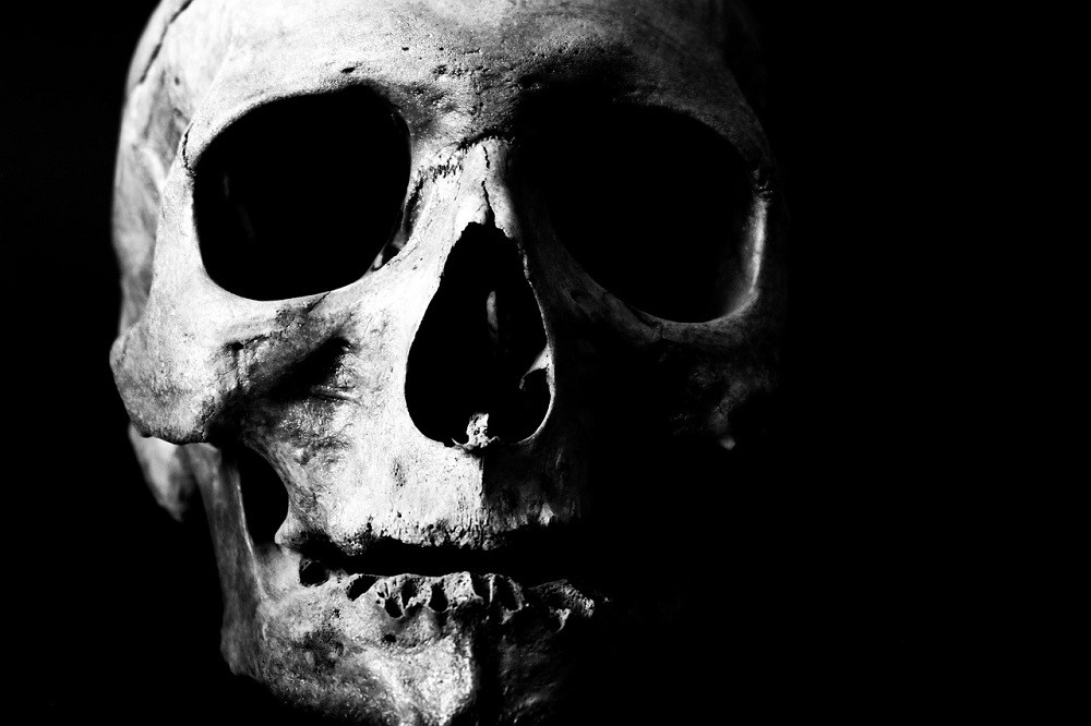 Black and white skull facing the camera