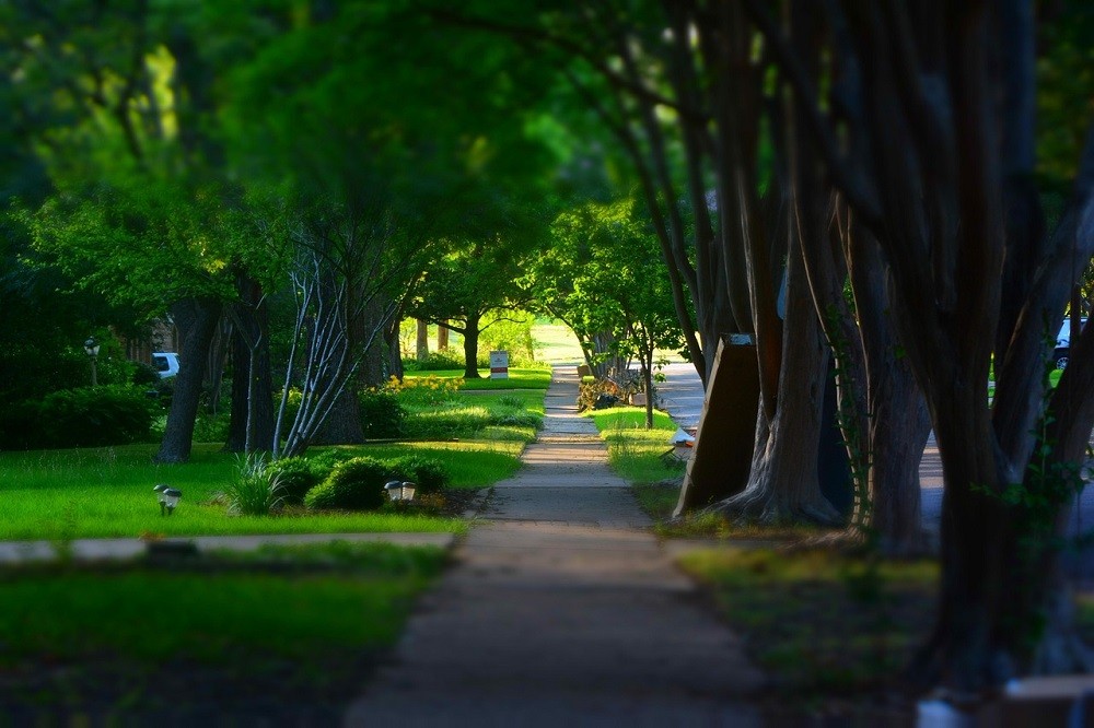 A photograph shows a sidewalk and pristine green lawns