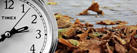 Top Reasons Why Your Quartz Watch Stopped And How To Fix It