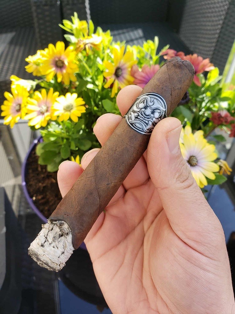 A Room 101 Big Payback Maduro cigar is chocolate brown in colour and has a black and white band with a samurai-like face on it