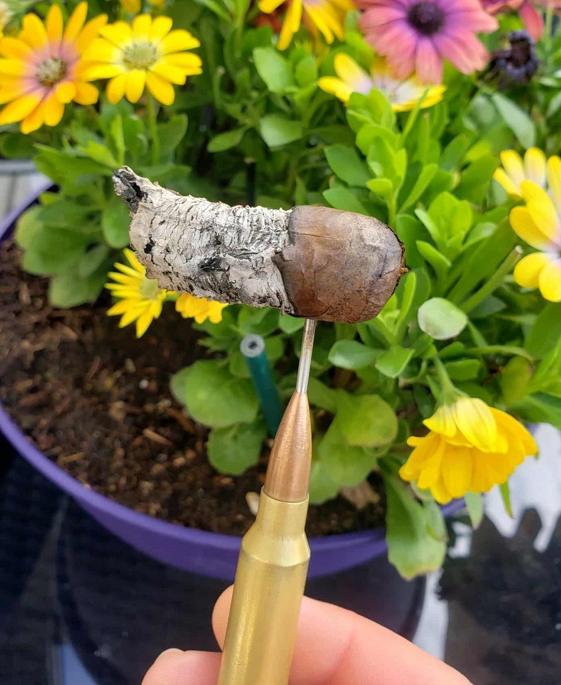 The last inch of a cigar sits on a cigar nubber. There is a 2