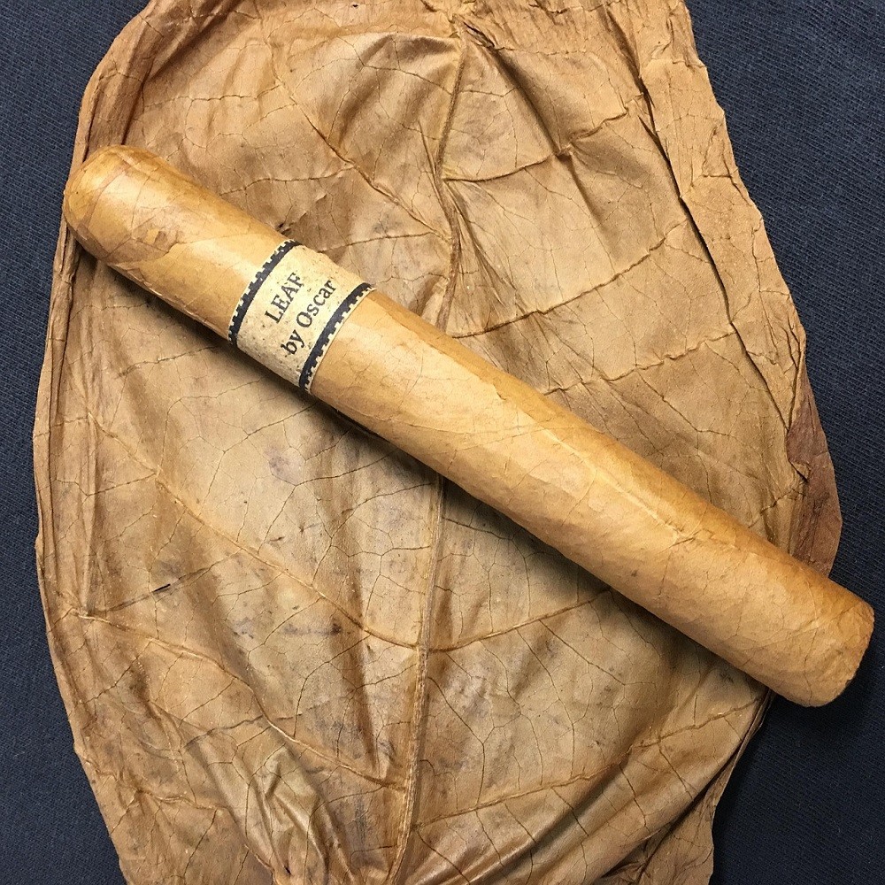 A light brown cigar sits in a tobacco leaf that is the same colour as the cigar