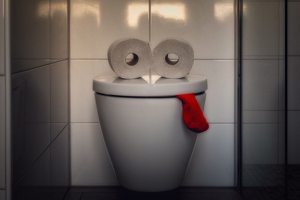 A toilet has two full rolls of toilet paper on it (that look like eyes) and a red sock sticking out (looks like its tongue)